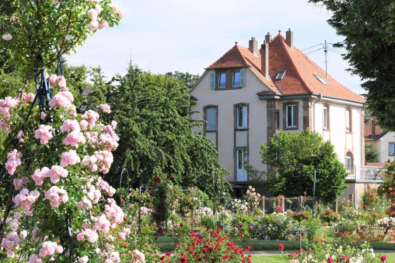 Le Jardin Des Roses Apartment Saverne Bagian luar foto