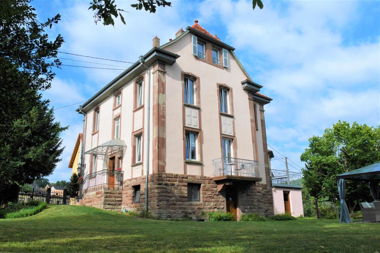 Le Jardin Des Roses Apartment Saverne Bagian luar foto