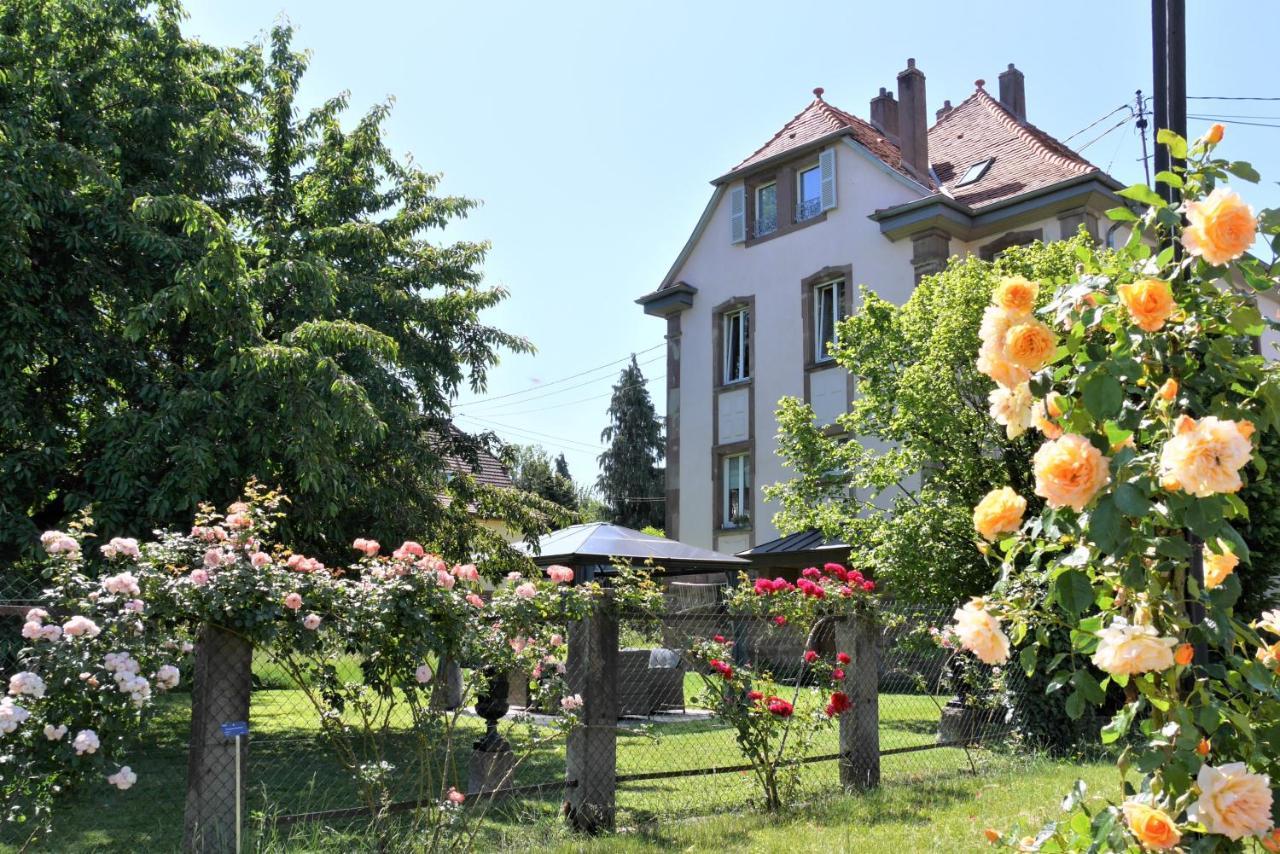 Le Jardin Des Roses Apartment Saverne Bagian luar foto