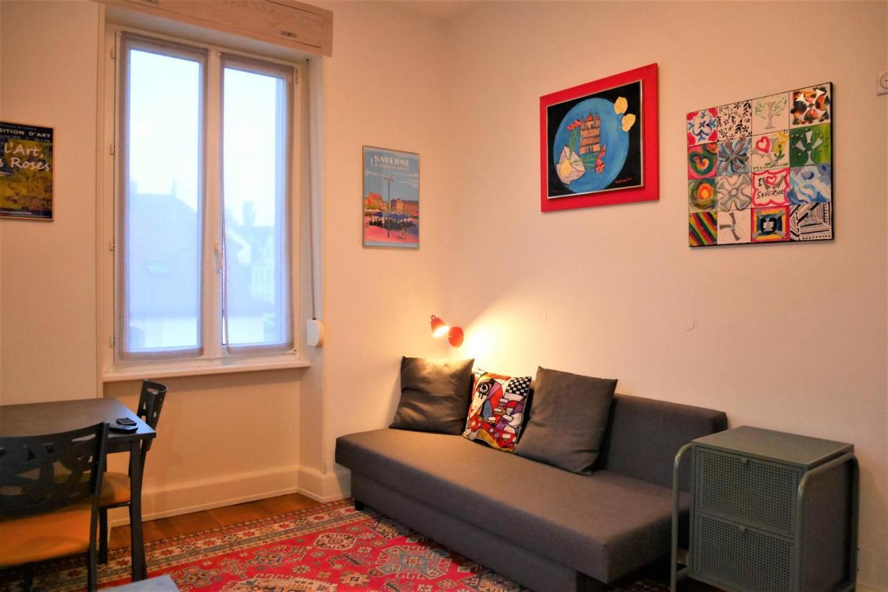 Le Jardin Des Roses Apartment Saverne Bagian luar foto