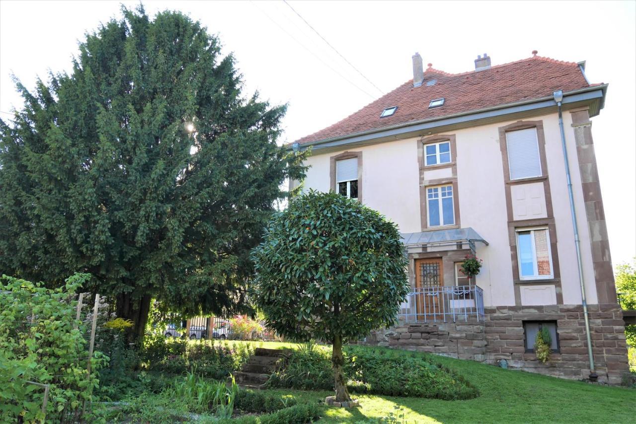 Le Jardin Des Roses Apartment Saverne Bagian luar foto