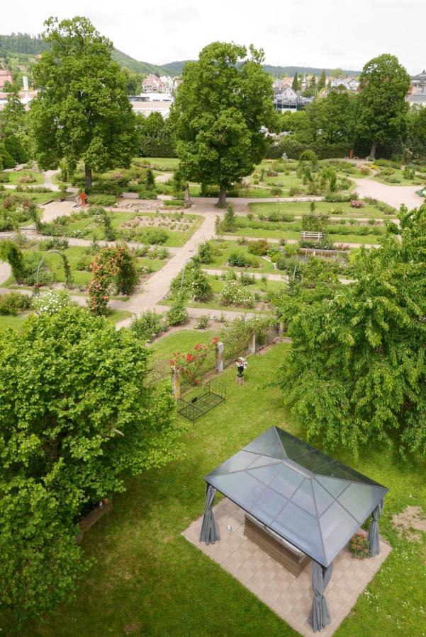 Le Jardin Des Roses Apartment Saverne Bagian luar foto