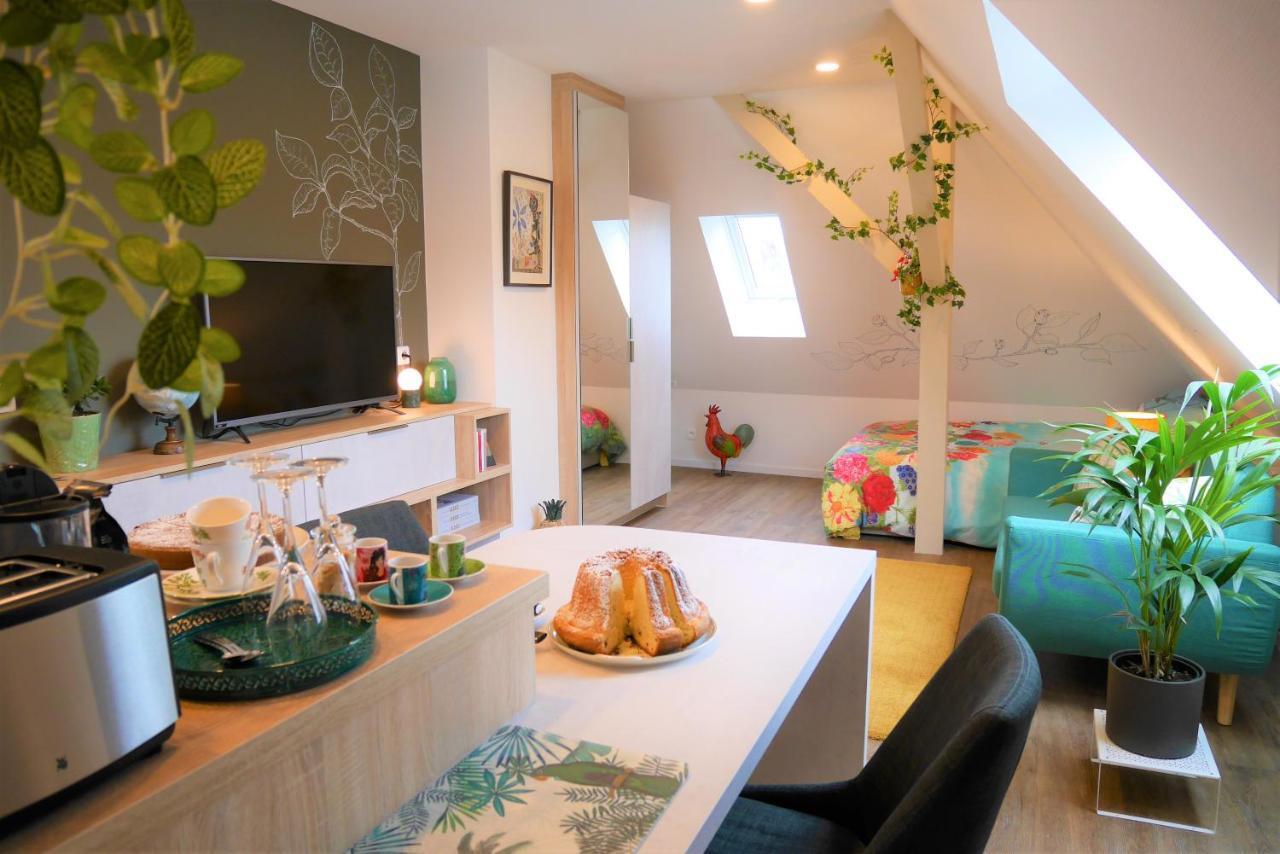 Le Jardin Des Roses Apartment Saverne Bagian luar foto