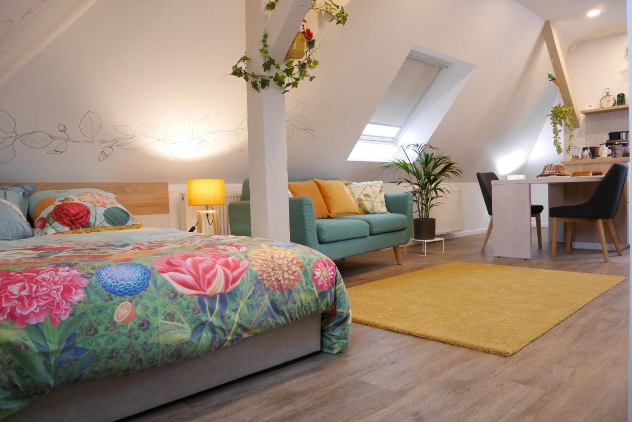 Le Jardin Des Roses Apartment Saverne Bagian luar foto