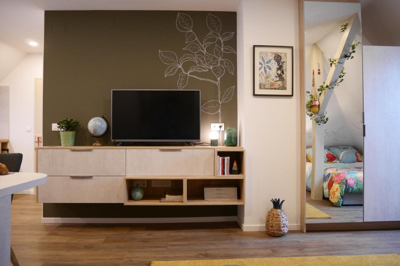 Le Jardin Des Roses Apartment Saverne Bagian luar foto