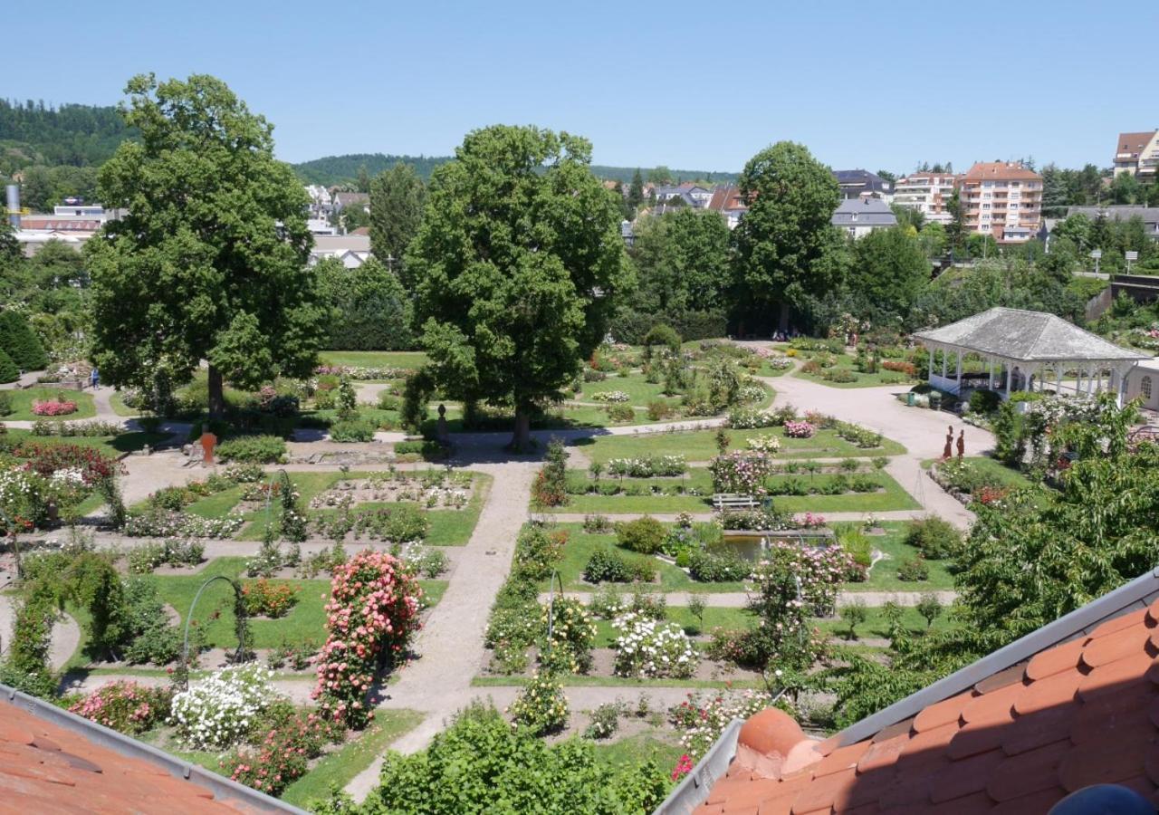 Le Jardin Des Roses Apartment Saverne Bagian luar foto