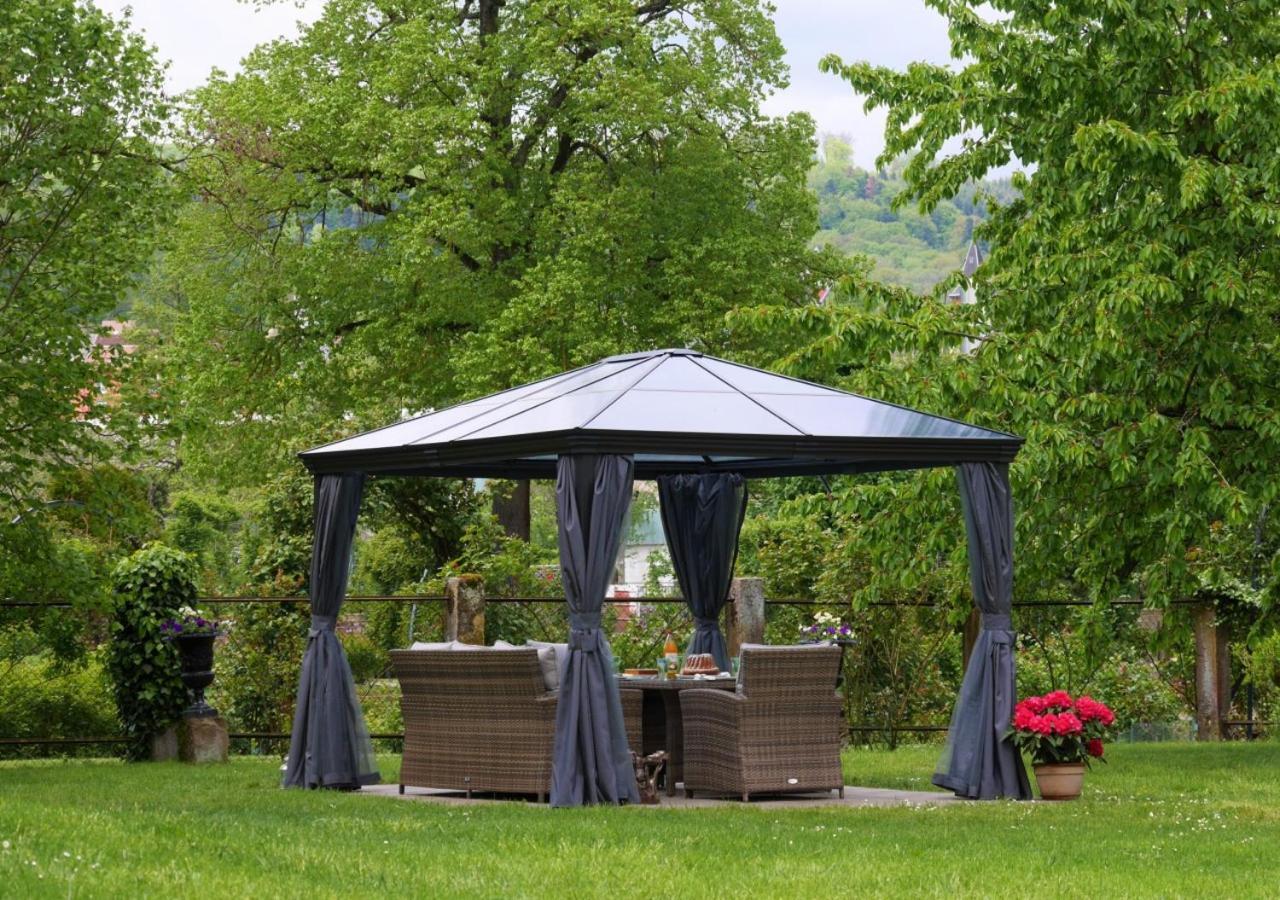 Le Jardin Des Roses Apartment Saverne Bagian luar foto
